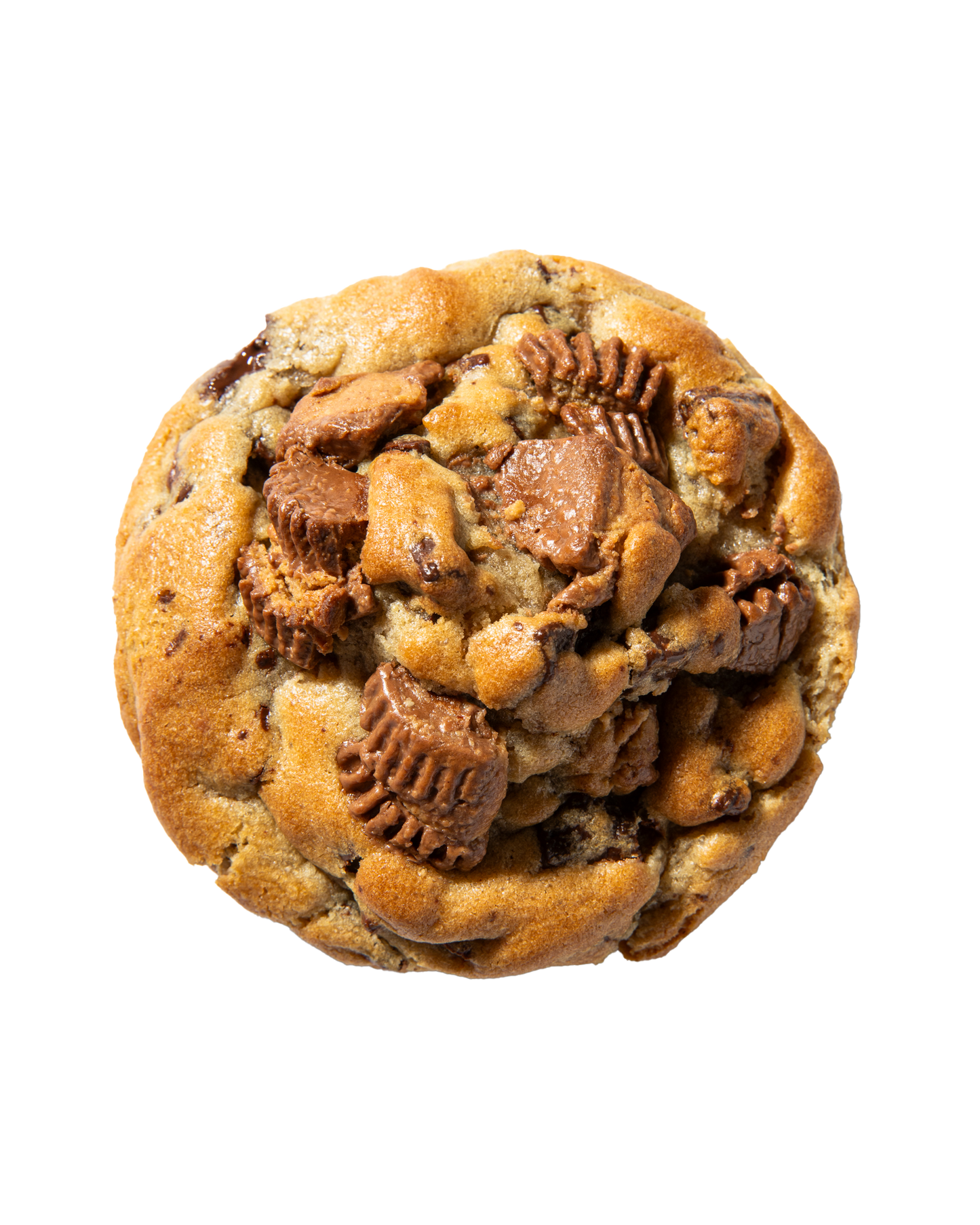 Reese's Chocolate Cookie