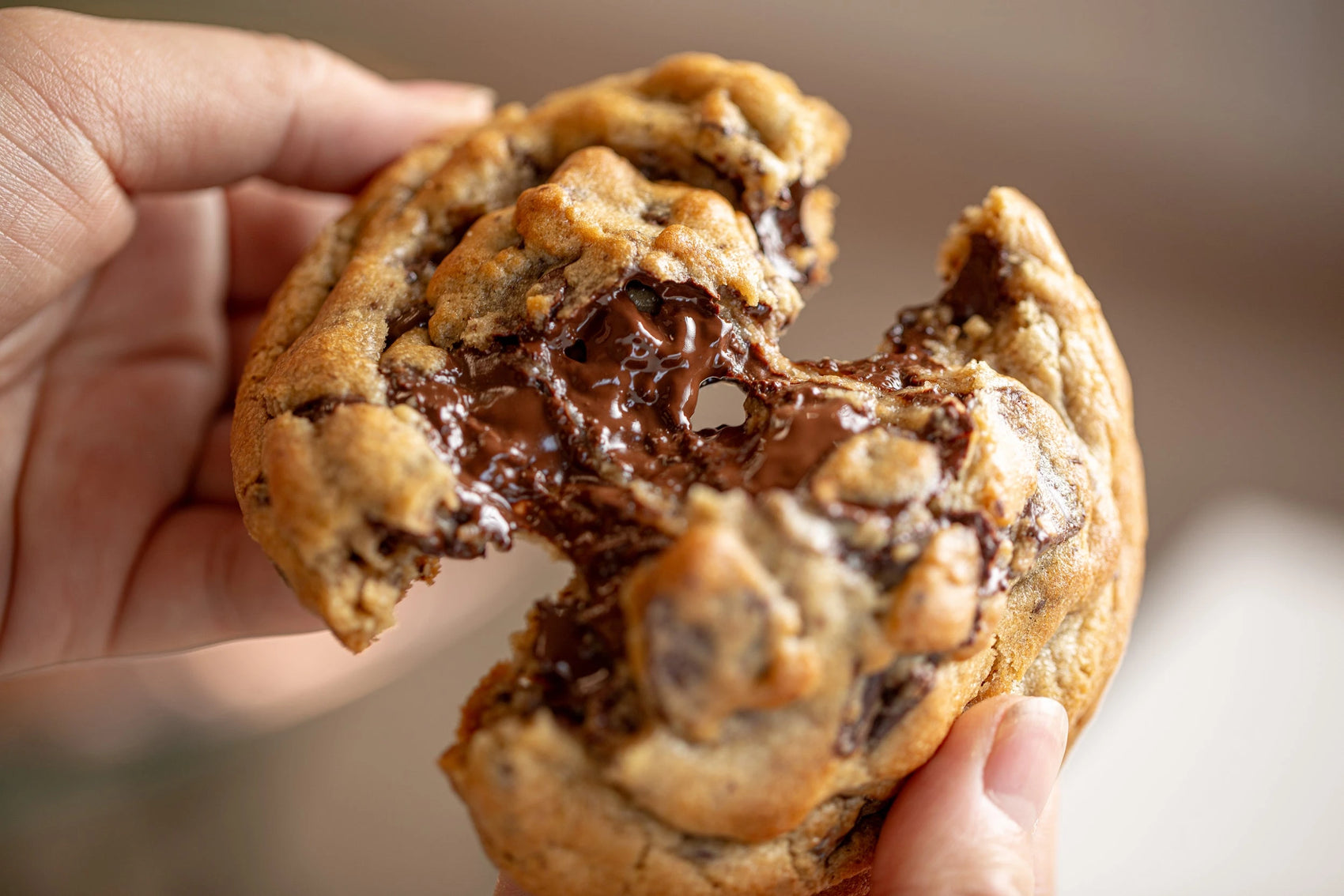 Gourmet Cookies