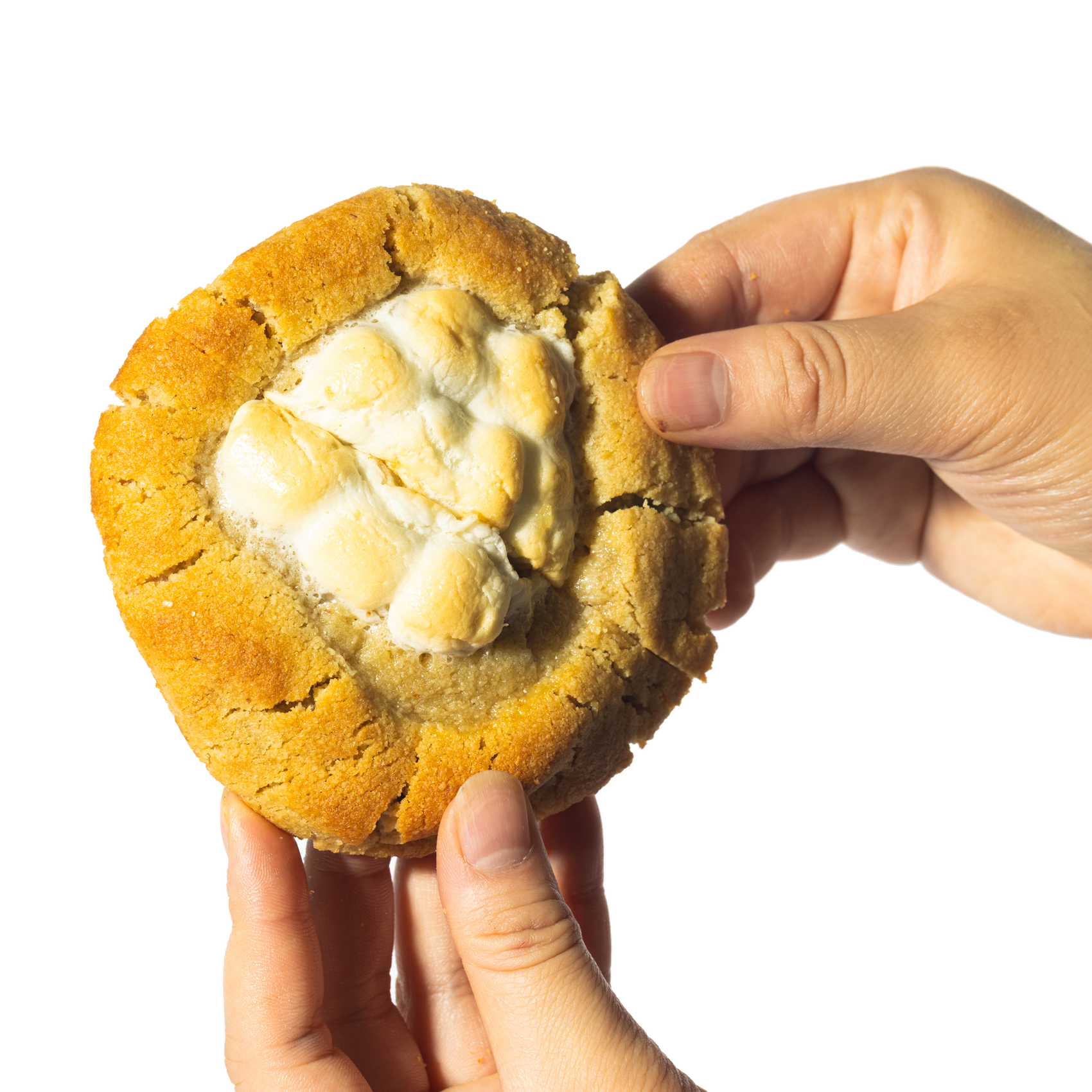 Gluten Free - Lemon Merigue