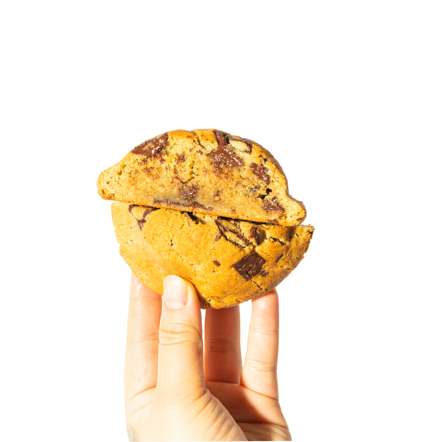Gluten Free - Chocolate Chunk Cookie