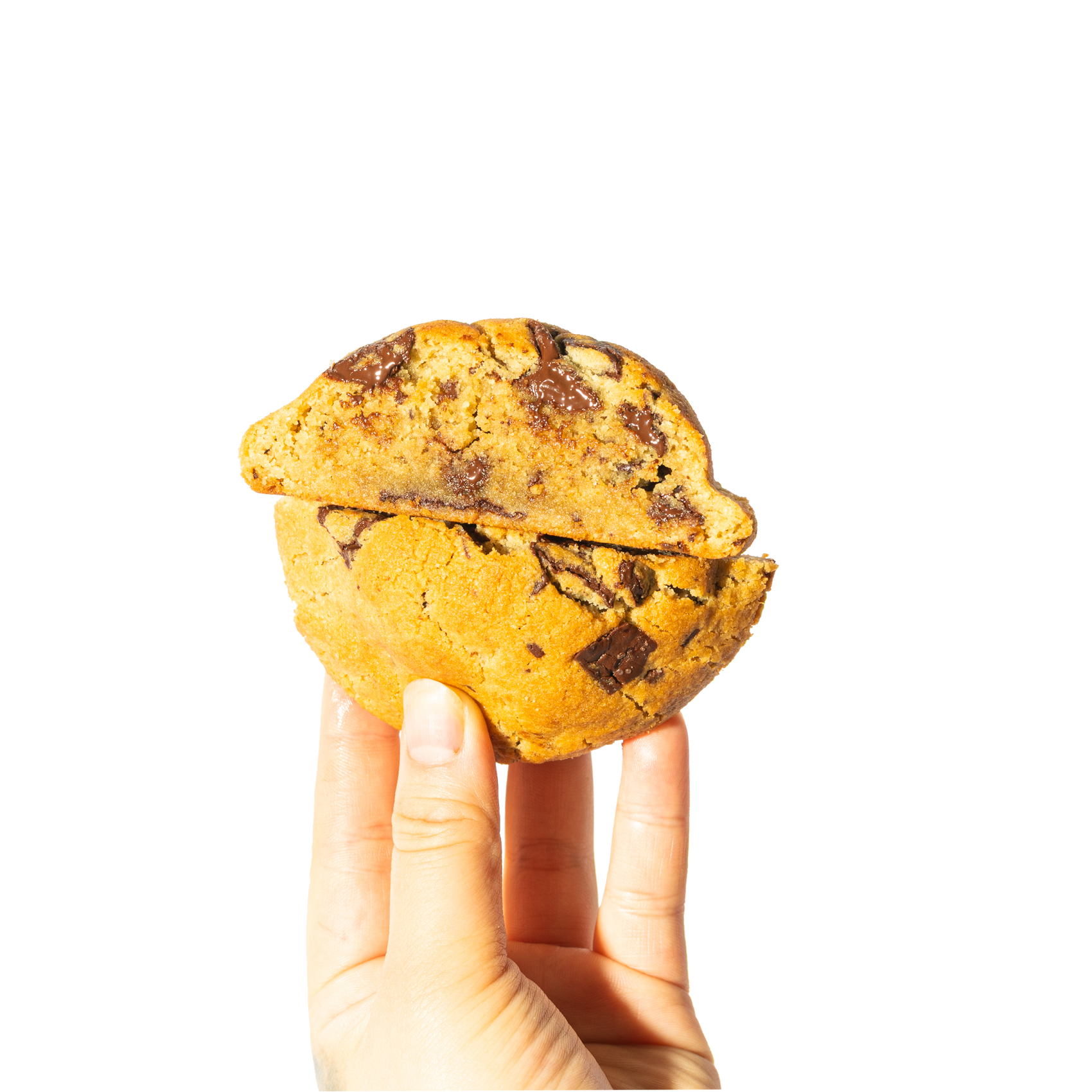 Gluten Free - Chocolate Chunk Cookie