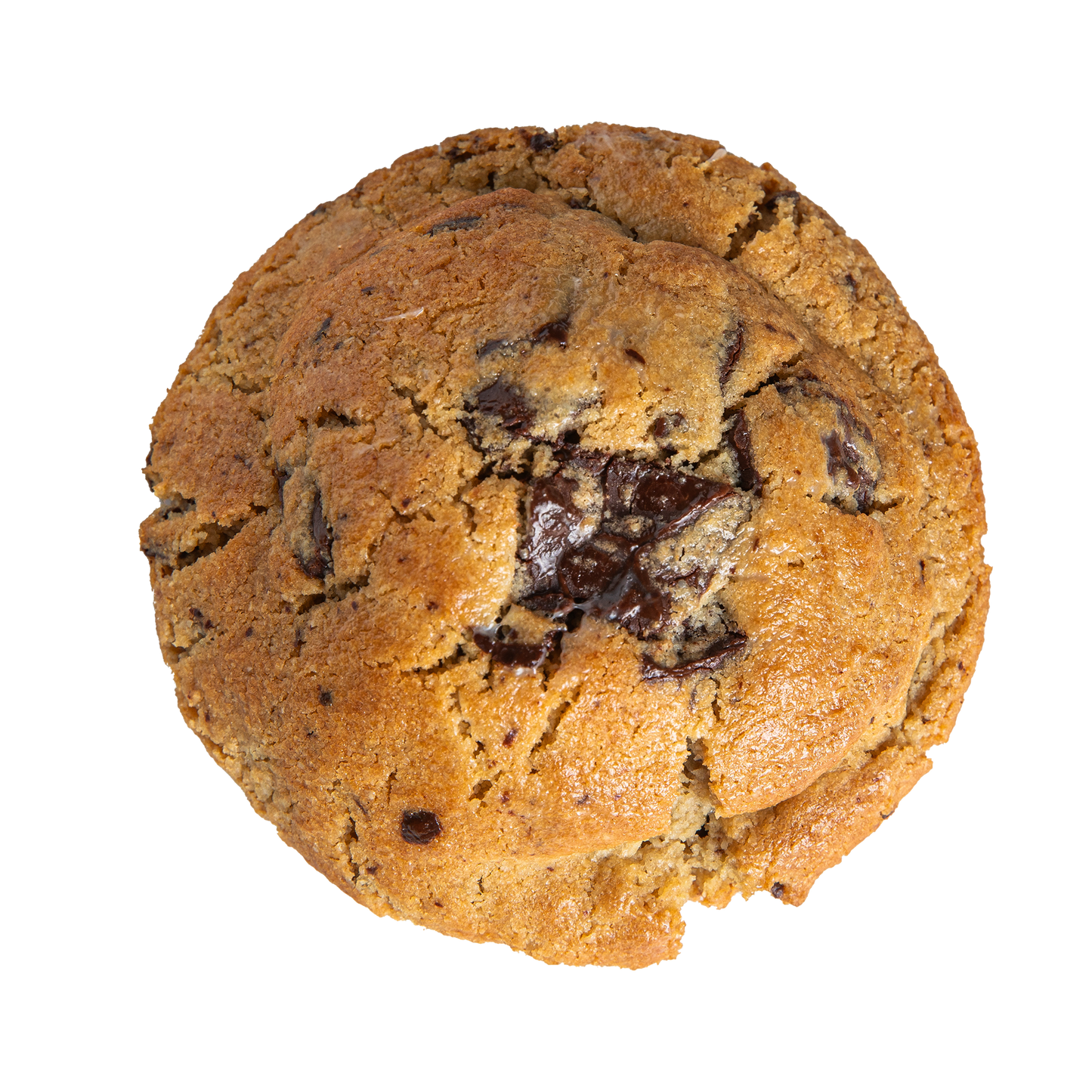 Gluten Free - Chocolate Chunk Cookie