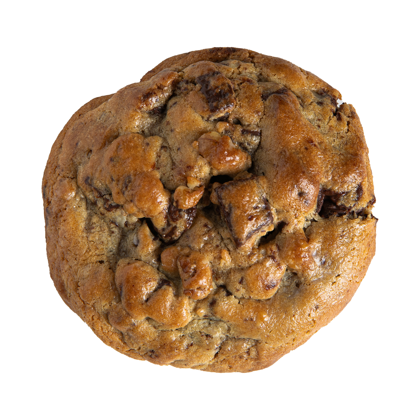 Beverly Hills Walnut Chocolate Chunk Cookie