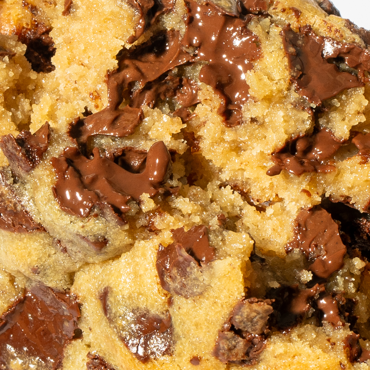 Beverly Hills Chocolate Chunk Cookie