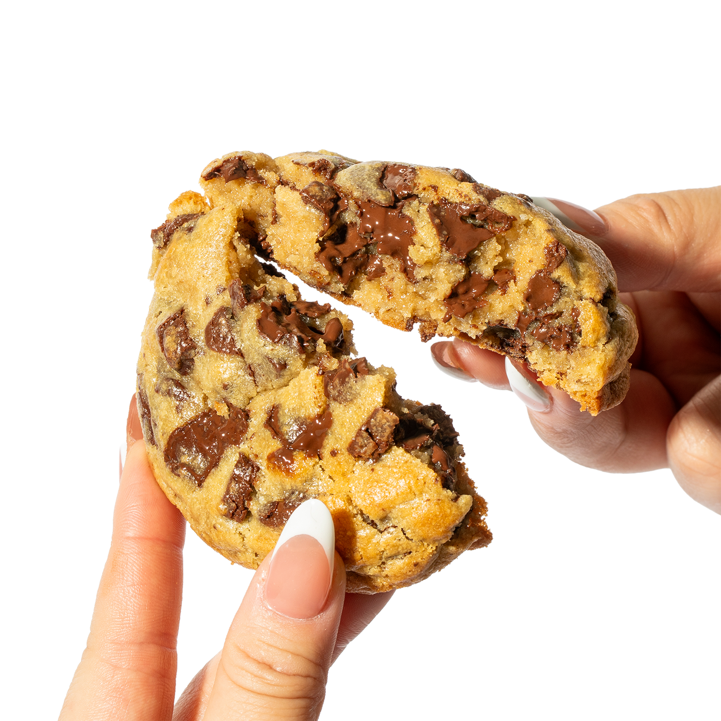 Beverly Hills Chocolate Chunk Cookie