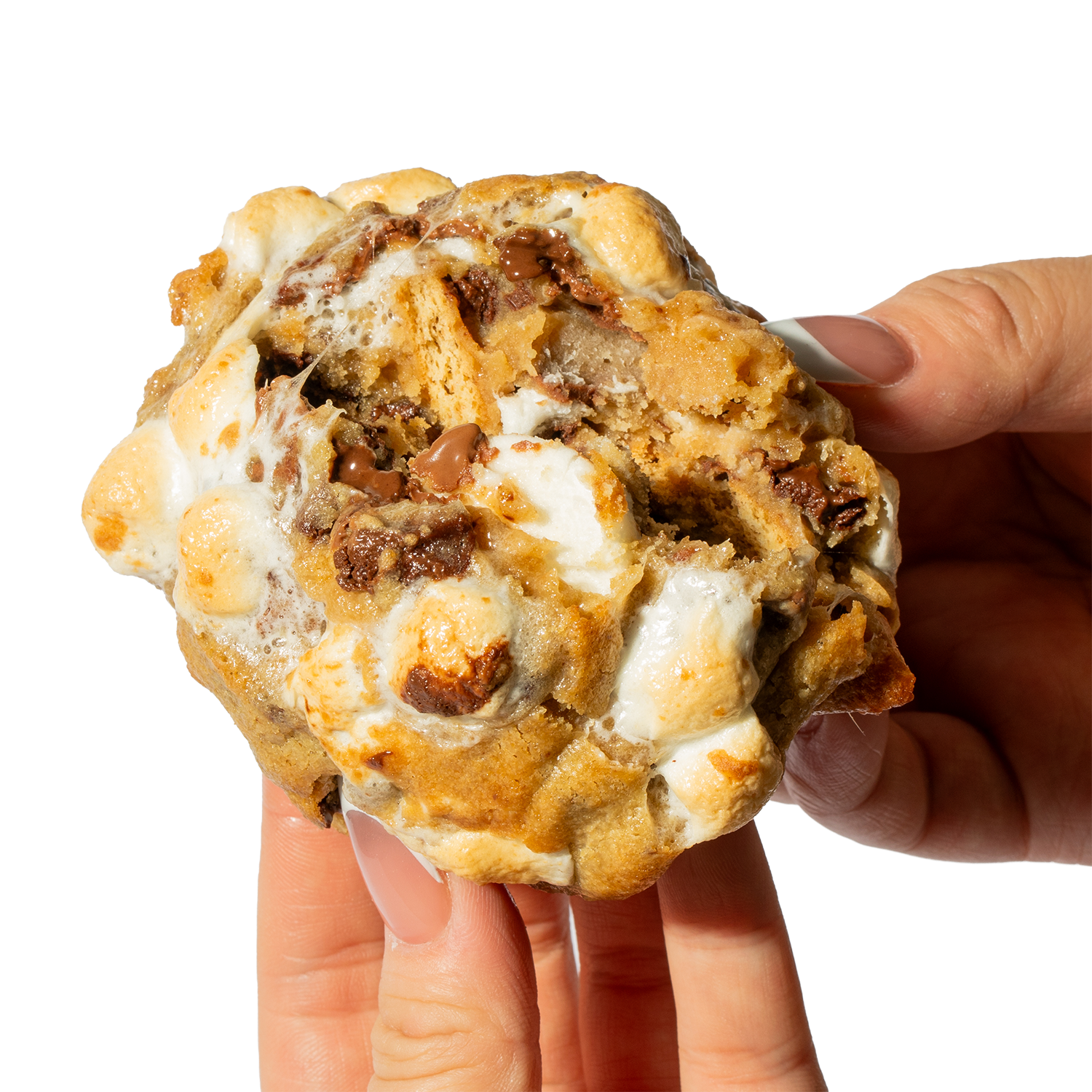 S'mores Cookie