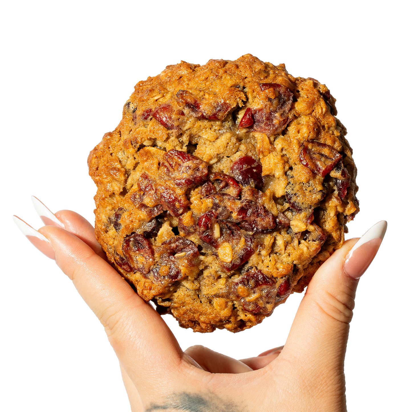 Old Fashioned Oatmeal Cranberry Cookie