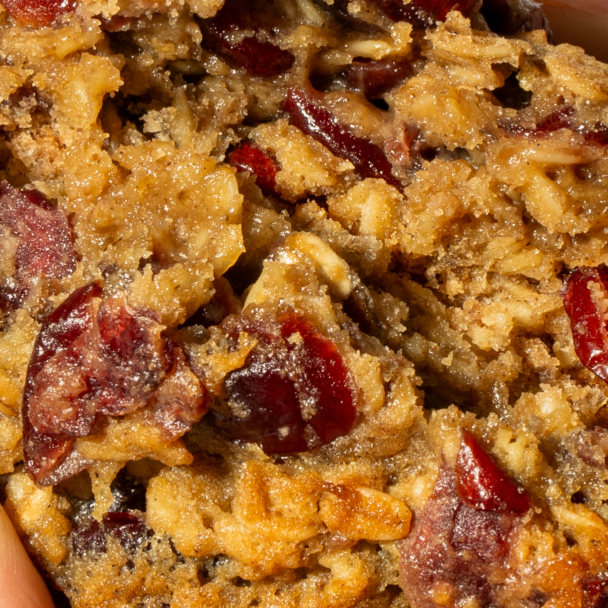 Old Fashioned Oatmeal Cranberry Cookie