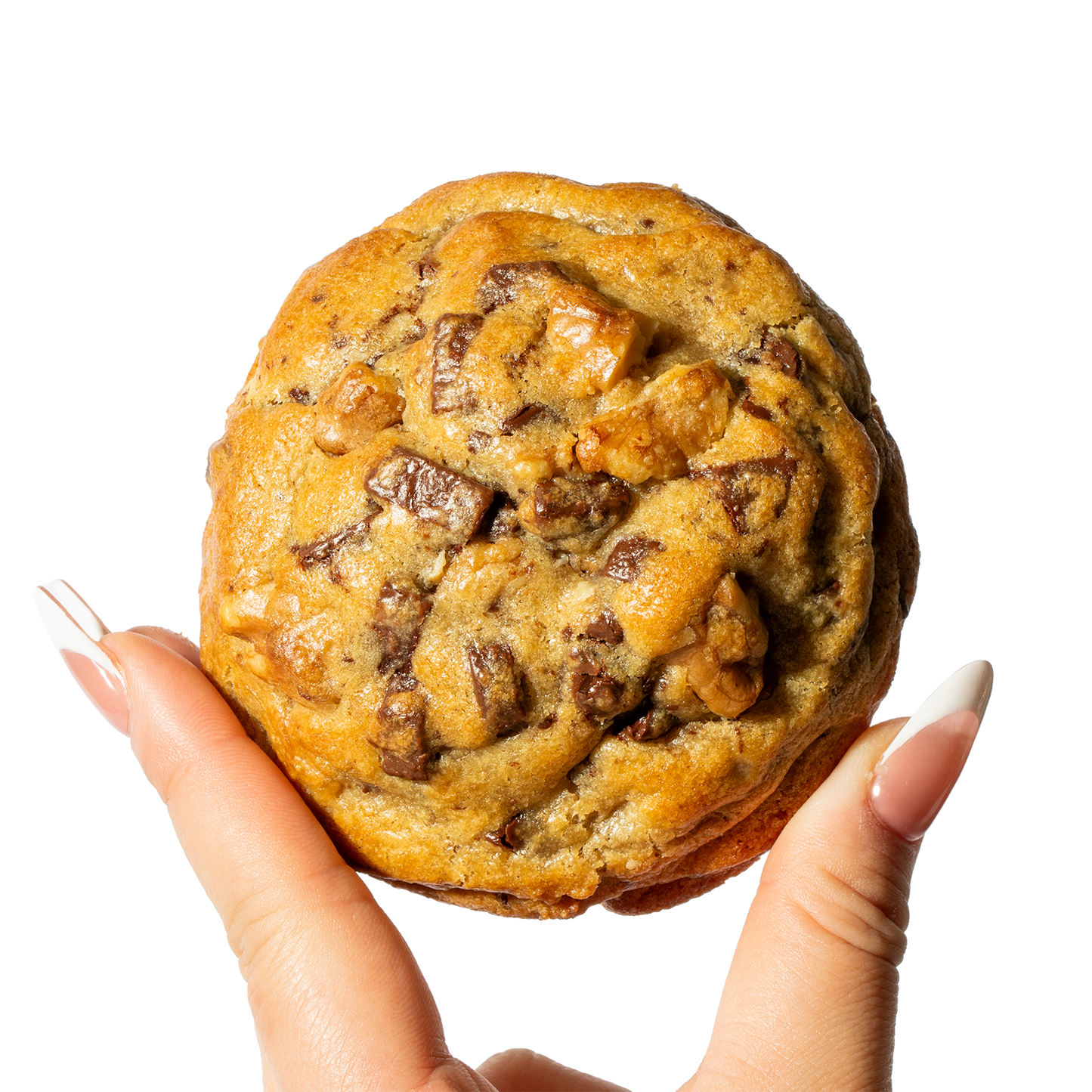 Beverly Hills Walnut Chocolate Chunk Cookie