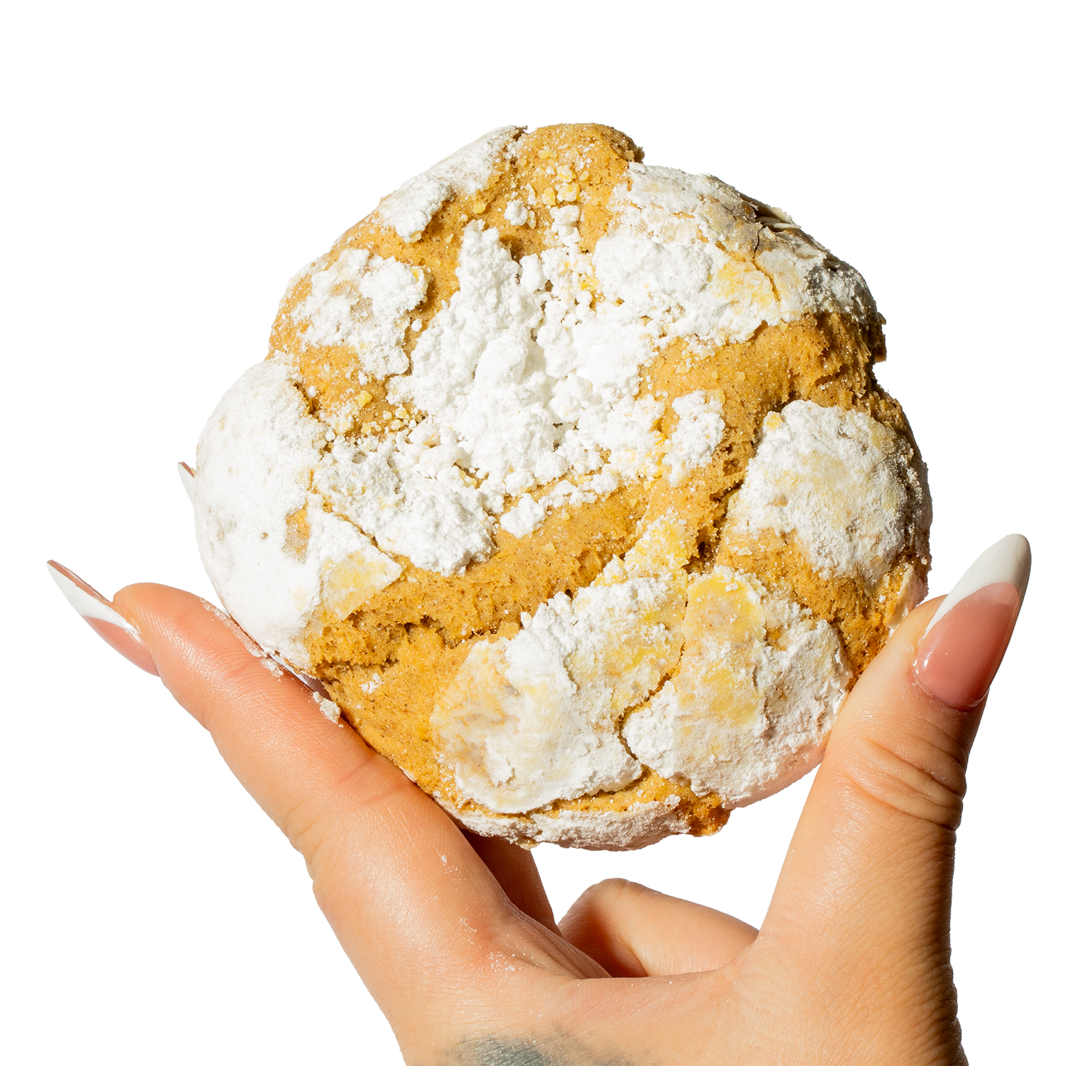 Pumpkin Spice Cookie - Seasonal Holiday