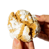 Pumpkin Spice Cookie - Seasonal Holiday