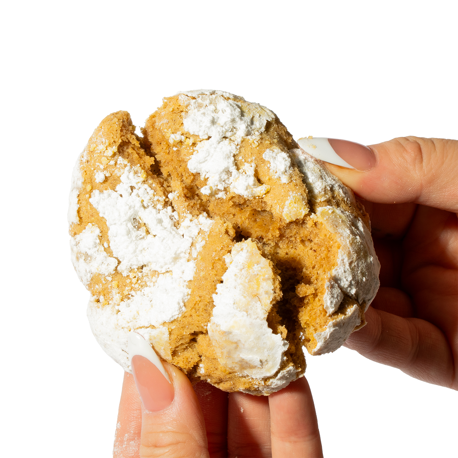 Pumpkin Spice Cookie - Seasonal Holiday