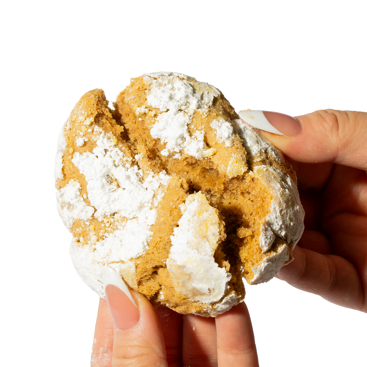 Pumpkin Spice Cookie - Seasonal Holiday