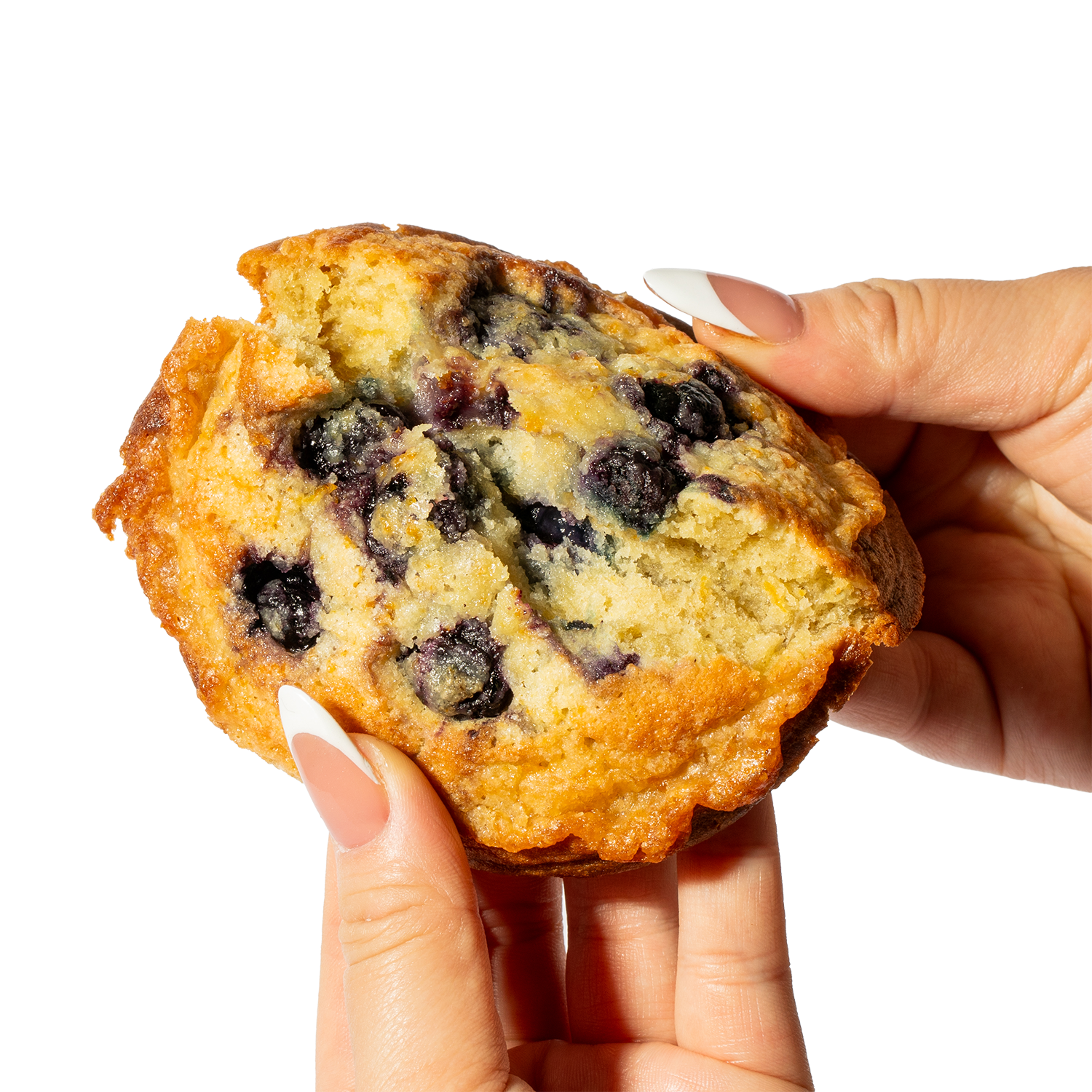 Wild Blueberry Muffin Top