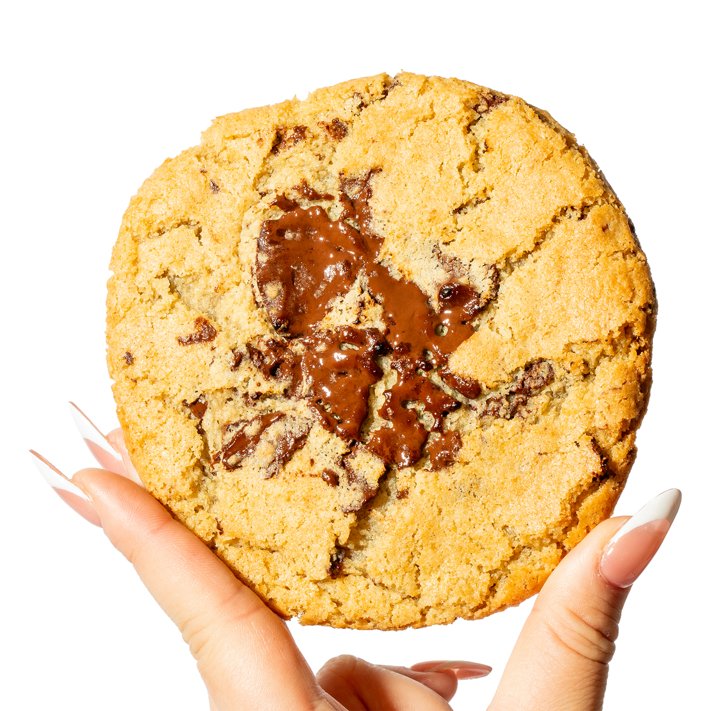 Gluten Free, Vegan - Chocolate Chunk Cookie