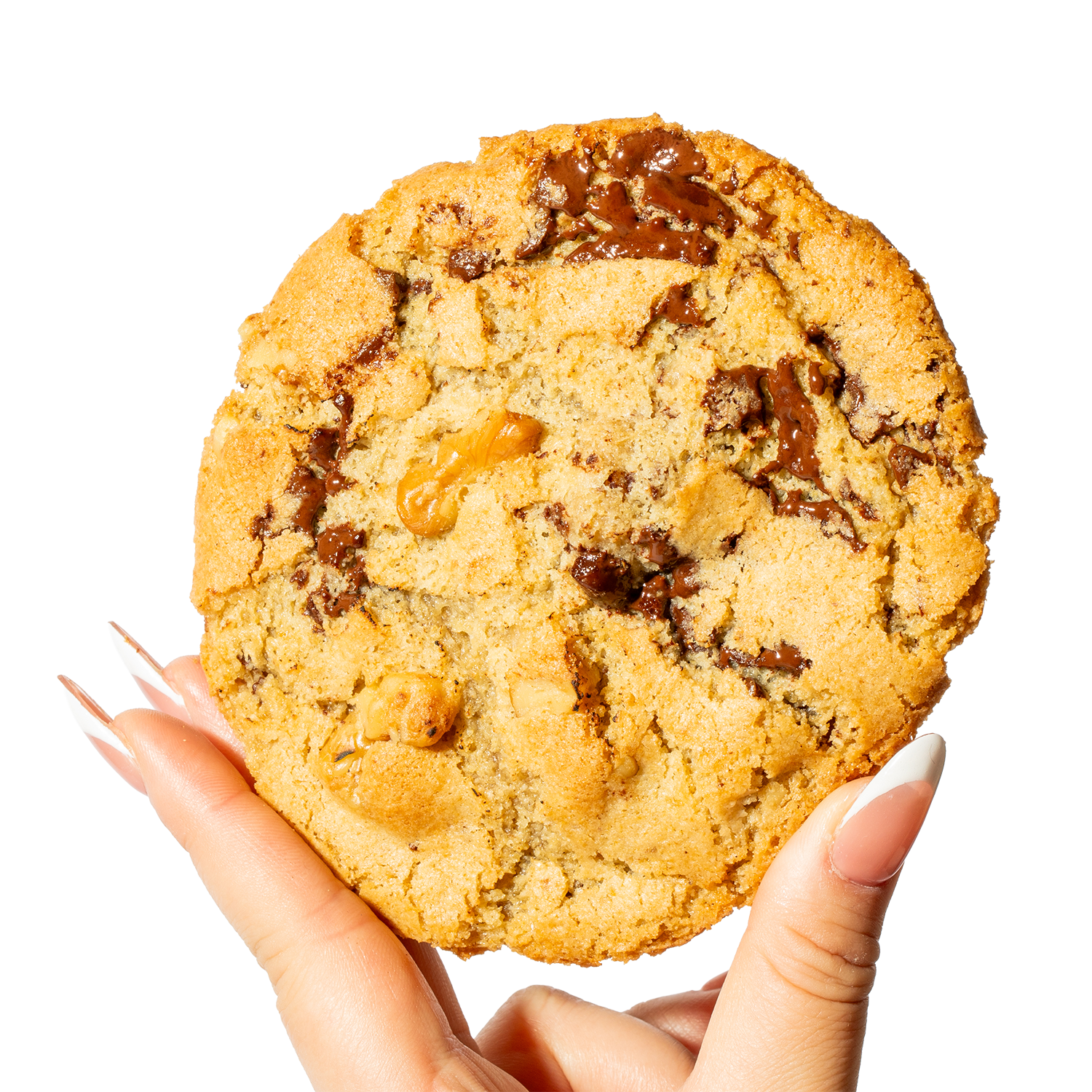 Gluten Free, Vegan - Walnut Chocolate Chip Cookie