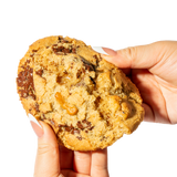 Gluten Free, Vegan - Walnut Chocolate Chip Cookie