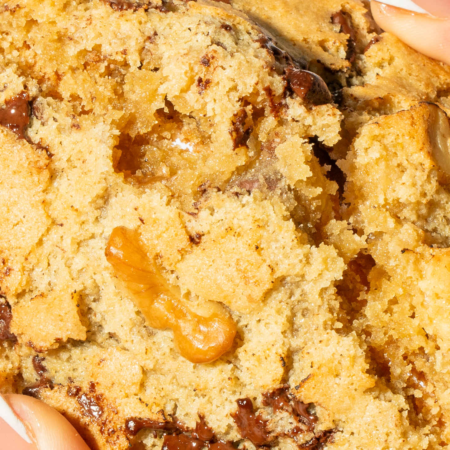 Gluten Free, Vegan - Walnut Chocolate Chip Cookie