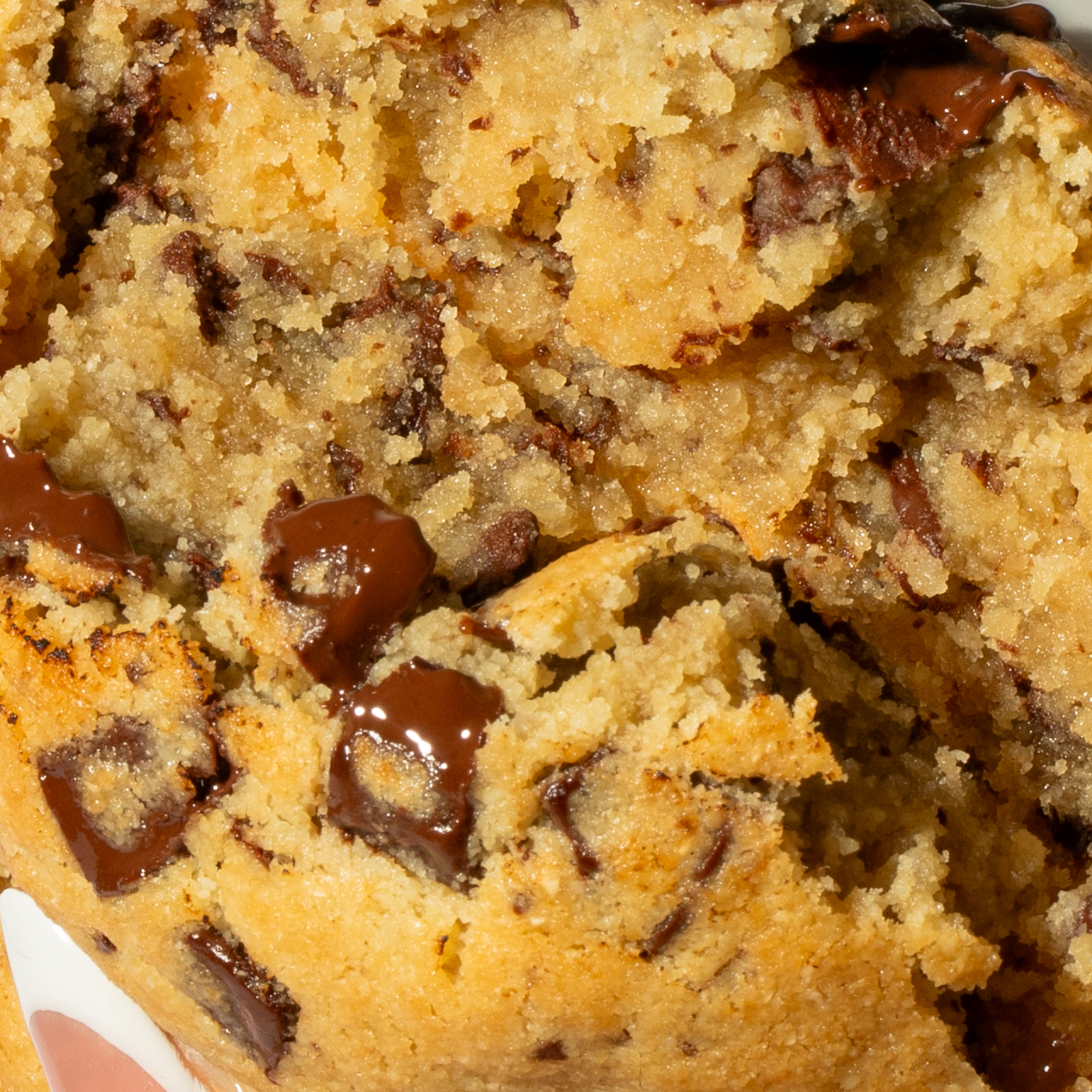 Gluten Free - Chocolate Chunk Cookie