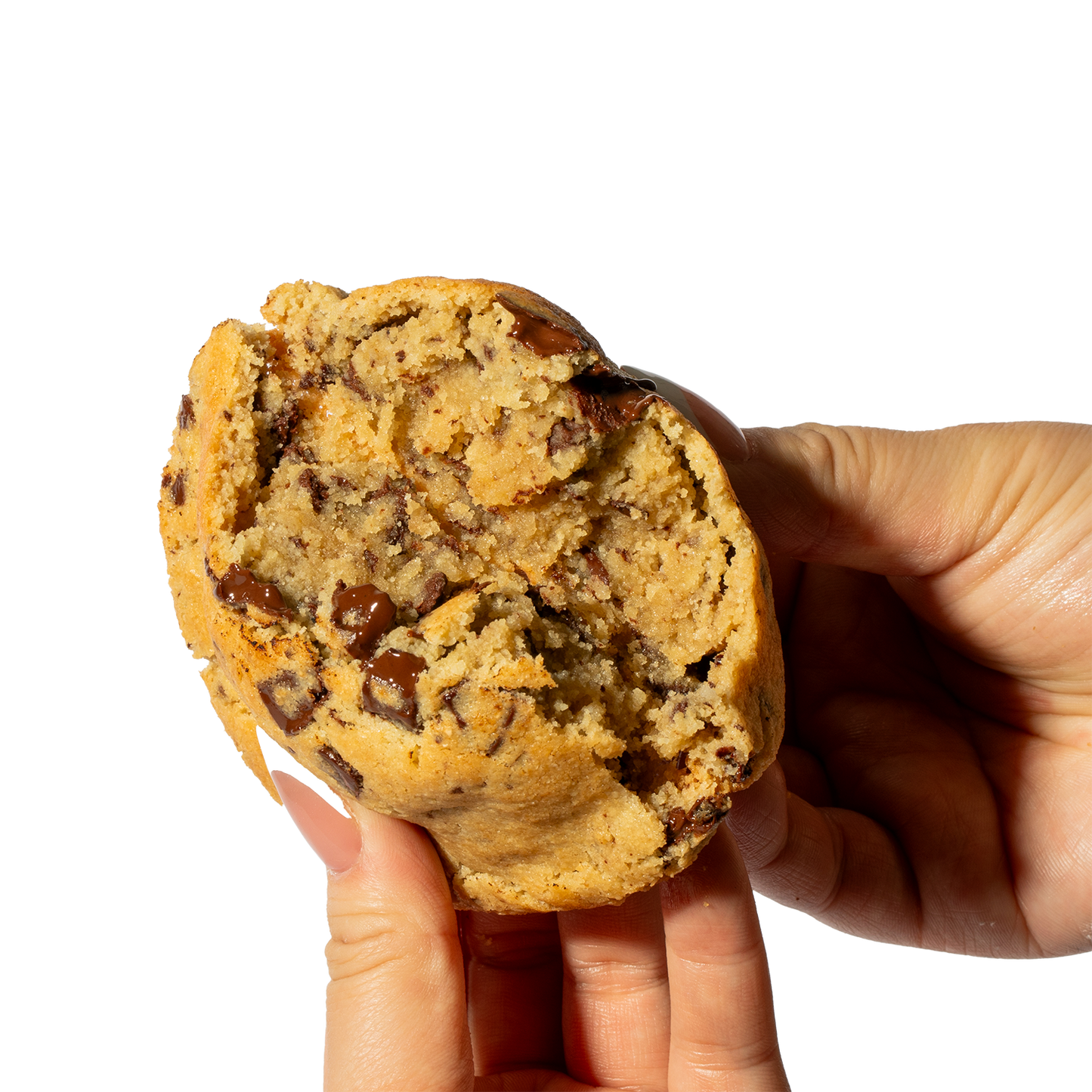 Gluten Free - Chocolate Chunk Cookie