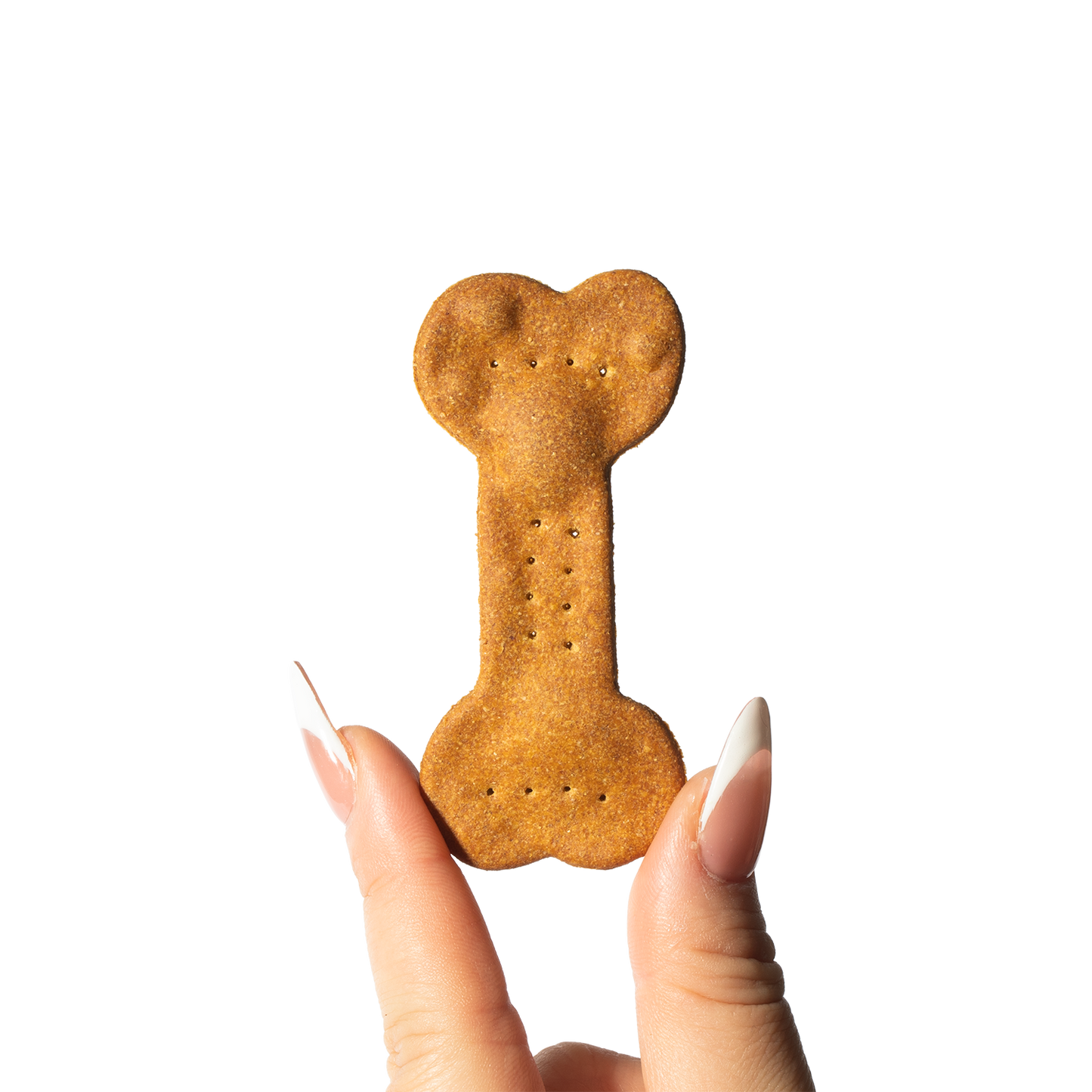 Mochi's Favorite | Single Treat