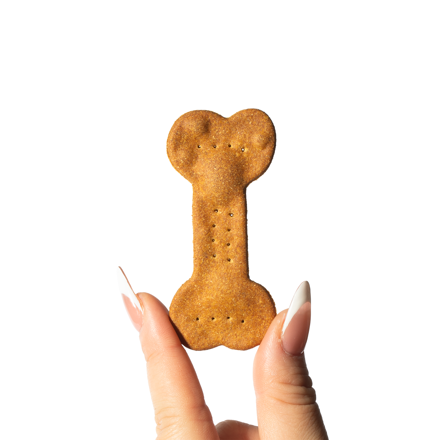 Mochi's Favorite | Single Treat