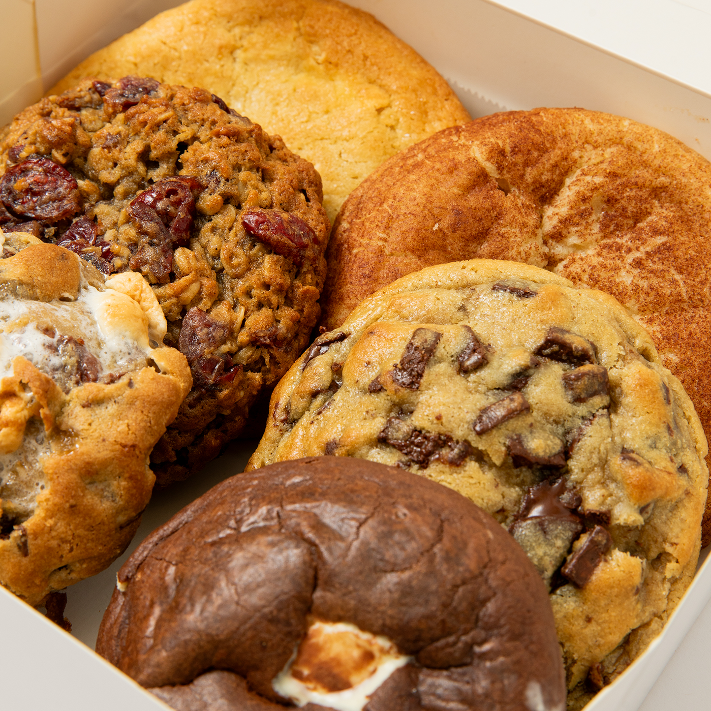 The Rodeo Drive Collection