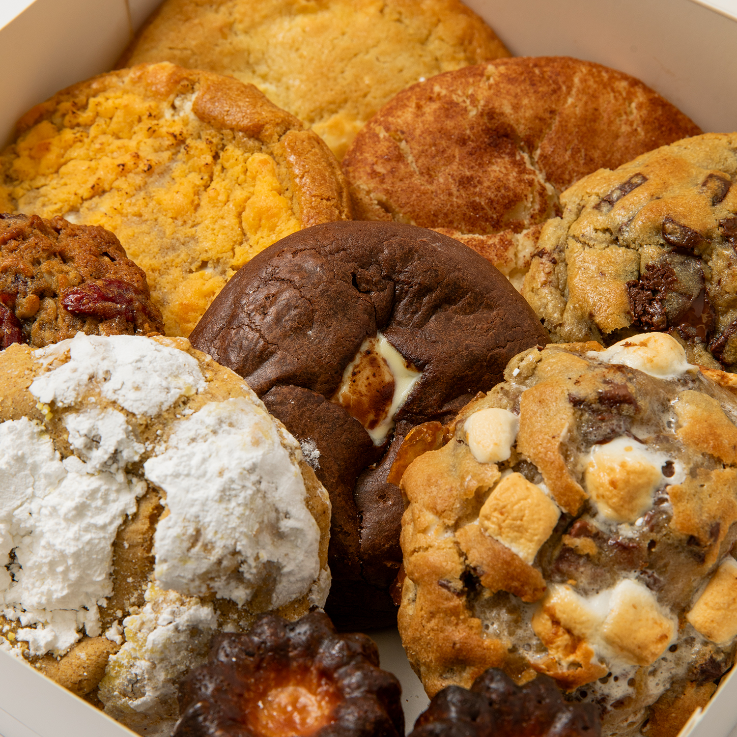 Beverly Hills Cookie Box Collection