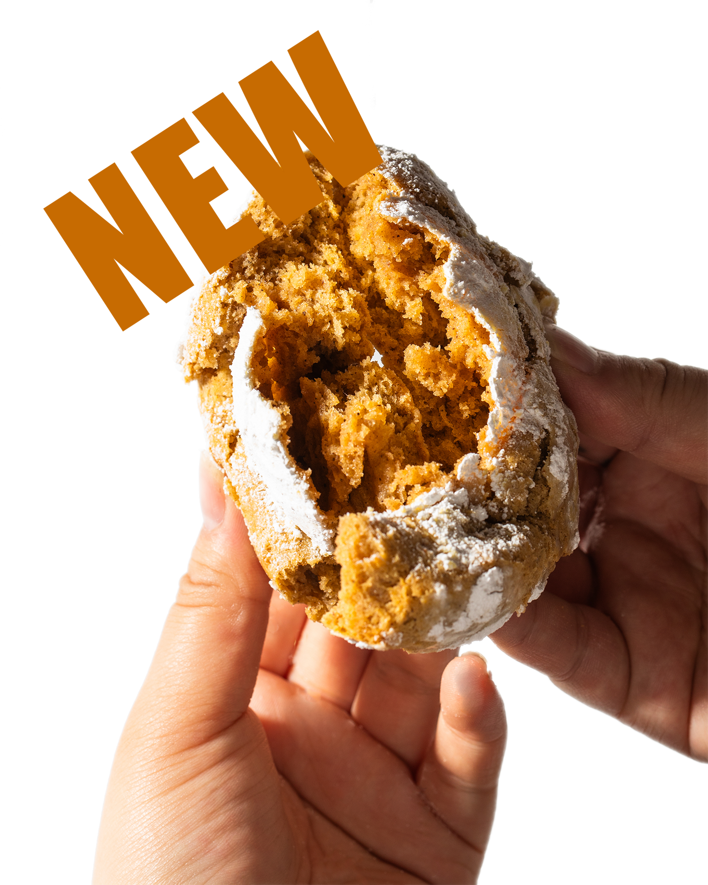 Pumpkin Spice Cookie - Seasonal Holiday