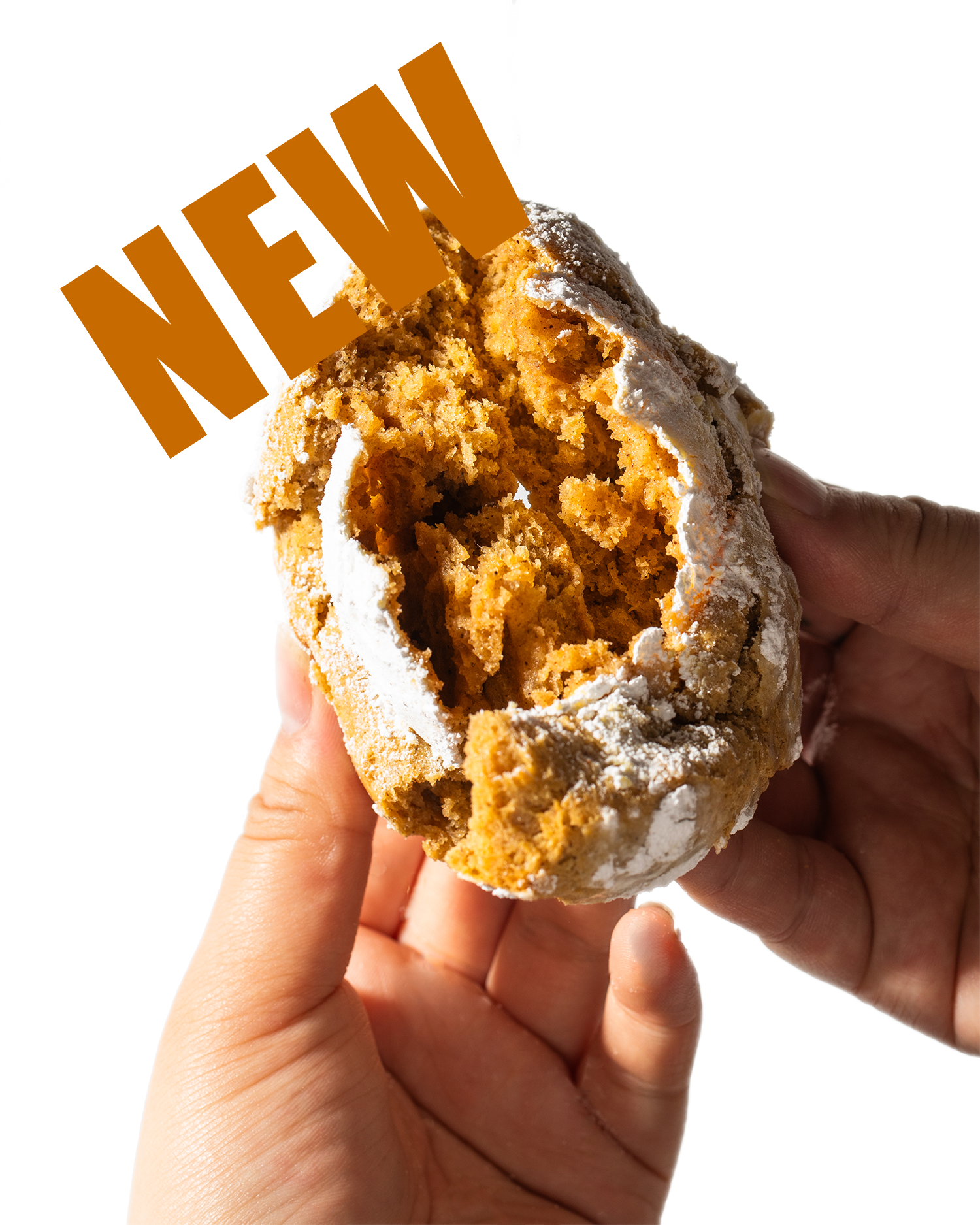 Pumpkin Spice Cookie - Seasonal Holiday