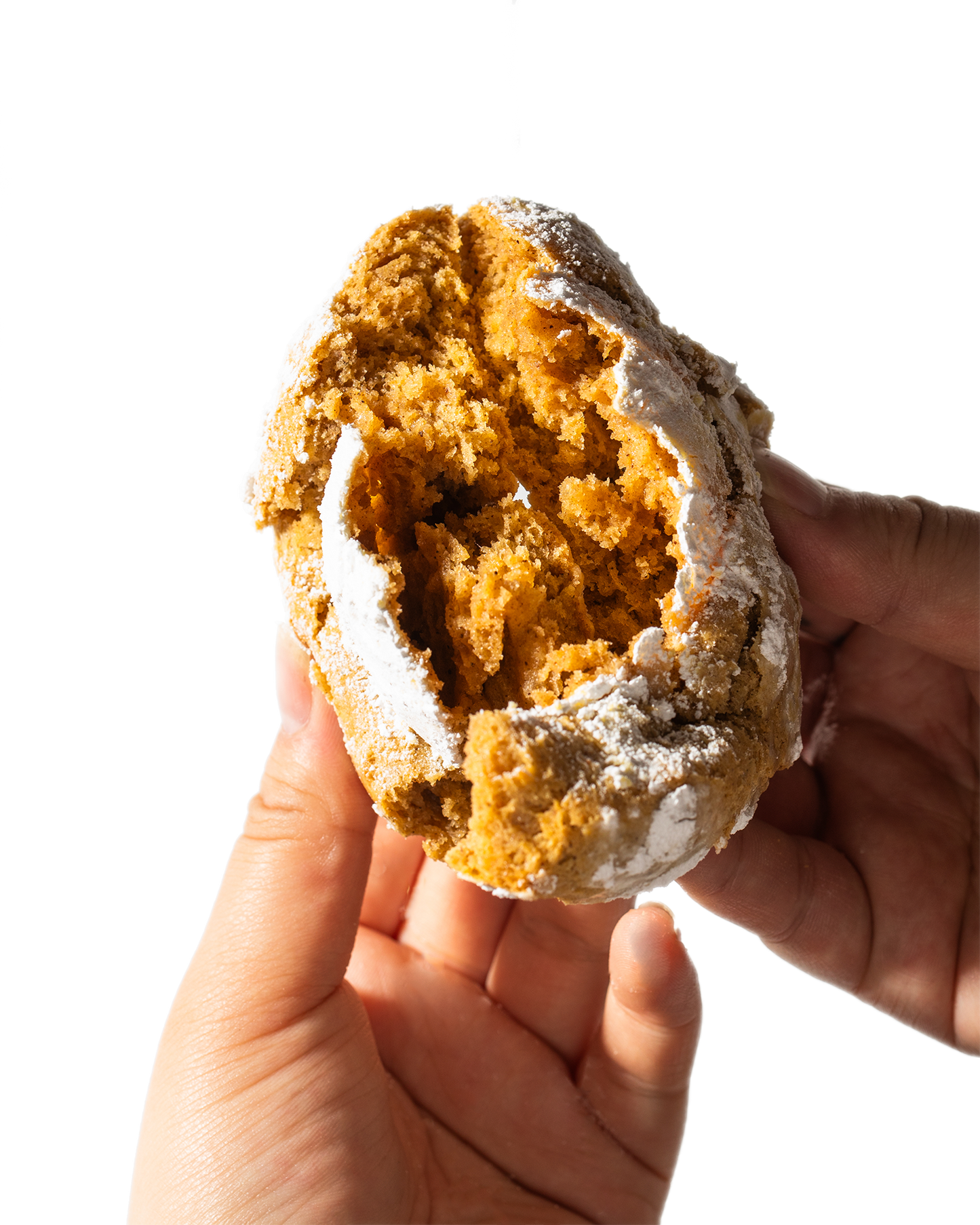 Pumpkin Spice Cookie - Seasonal Holiday