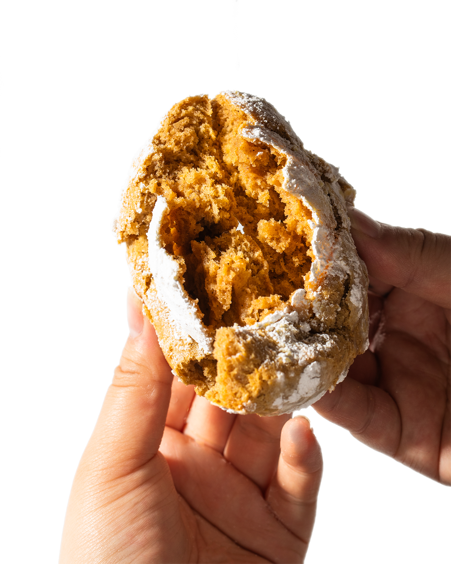 Pumpkin Spice Cookie - Seasonal Holiday