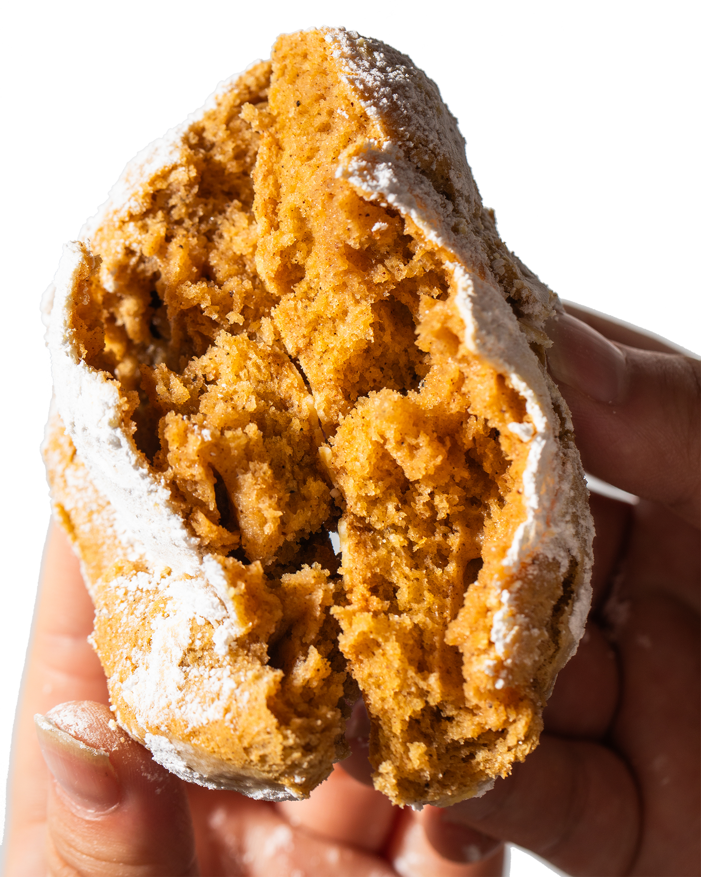 Pumpkin Spice Cookie - Seasonal Holiday