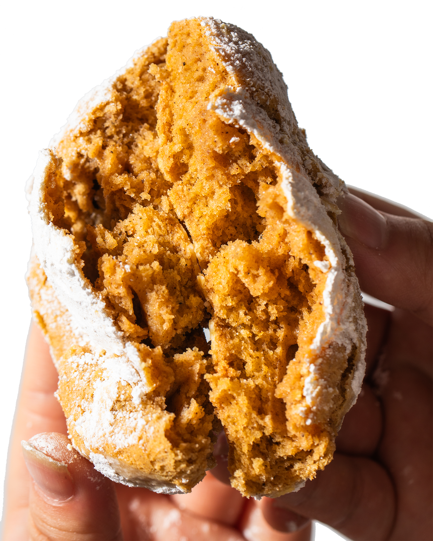 Pumpkin Spice Cookie - Seasonal Holiday